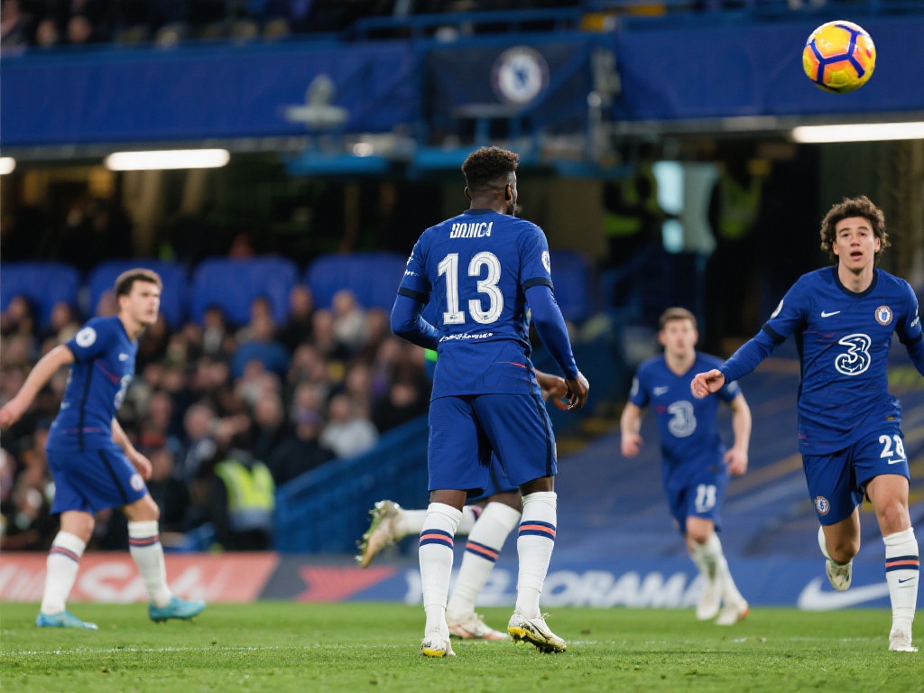 不仅展现了 不仅展现了